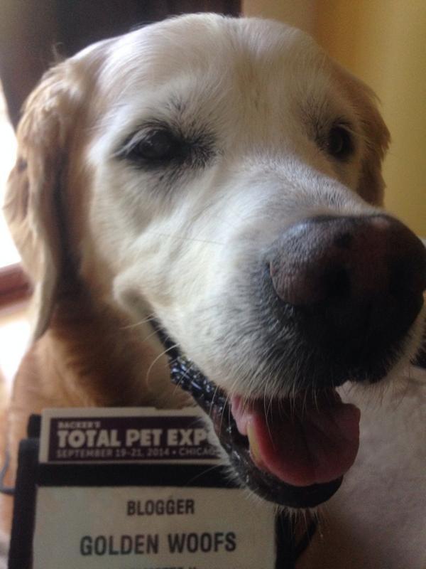 GoldenWoofs's tweet photo. On our way2 #totalpetexpo #TPE2014 excited 2check out all the pawsome pet products http://t.co/TF3SOyzZTM