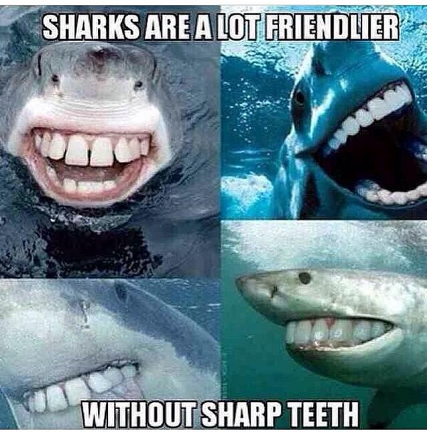 Tara_C87's tweet photo. @KayleighRoseAnn they still scare the hell out of me!! #stayoutoftheocean 

#potd #funny http://t.co/MeKM1cPz4N”