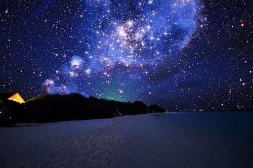 夜だから綺麗な画像貼ってtlを浄化しようよ
