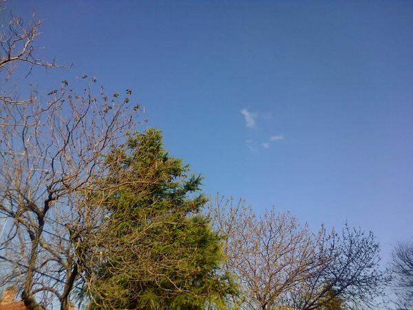 ViaRusticaRock's tweet image. Amigos! Hoy los esperamos en @LaQuadraBar!!! Es #RecontraExtraño... Toca @ViaRusticaRock y no lluve!