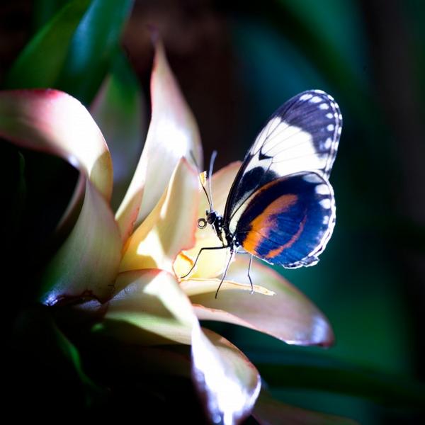 .<a href="/NeschenSupplies/">Neschen Supplies</a> buddies up with <a href="/EpsonUK/">Epson UK</a> to show off lamination at <a href="/photokina/">photokina</a> 2014 buff.ly/1u6GqTC