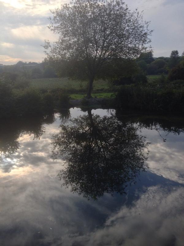 alexhoareartist's tweet image. #endofdayreflections