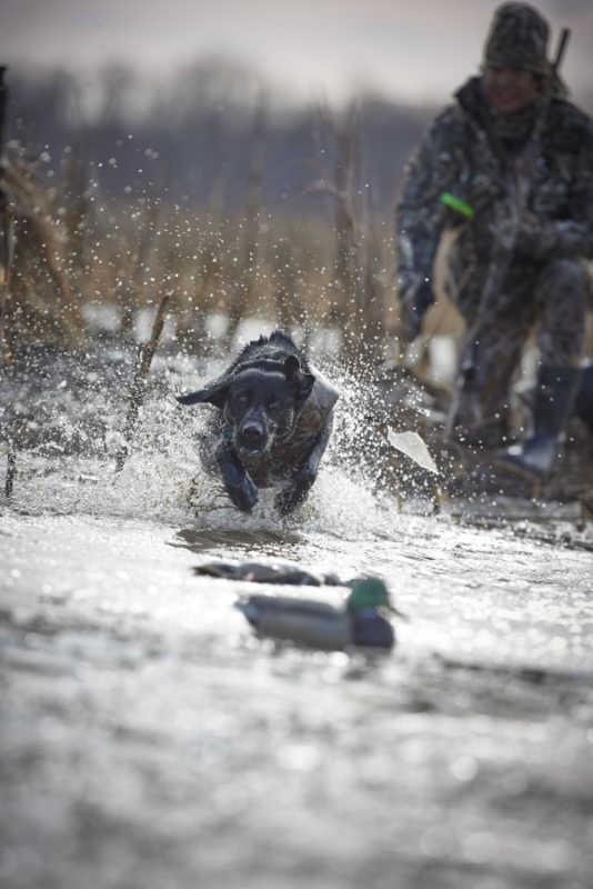 Cabelas's tweet photo. Bring on the season. http://t.co/wdK5YuRt34