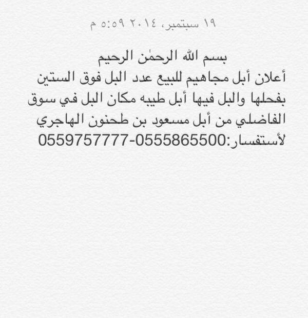 _14101's tweet image. 