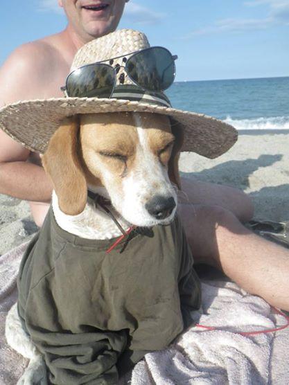 Noobbis's tweet photo. Et voila ma petite Doly en vacances à la mer :D @JulietteTrcche http://t.co/eUVkZcDCTH