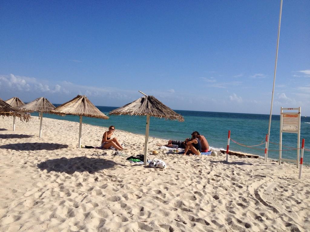 Embedded image permalink