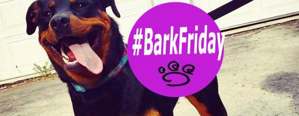 #TorontoEvents #dogs <a href="/BFLTORONTO/">Bark For Life</a> BARK 4 LIFE #TRINITYBELLWOODS &amp; #HIGHPARK <a href="/CANADAPOOCH/">Canada Pooch Ltd.</a> ... fb.me/2qrjAjNYX"