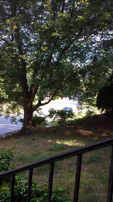 I'm not in AZ anymore but at least GA has trees! http://t.co/3fHx72CfKW<a href="/tag/foodporn"class="tags"><span>#foodporn</span></a><a href="/tag/omg"class="tags"><span>#omg</span></a>