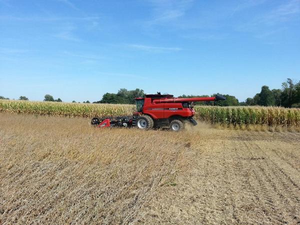 Farm_King's tweet photo. 2014 Harvest has offically started. http://t.co/1fUOM0ZQaI