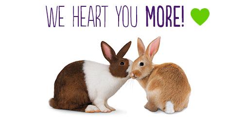 <a href="/DeRoFoundation/">DeRo Foundation</a> And a very special you're welcome to you!