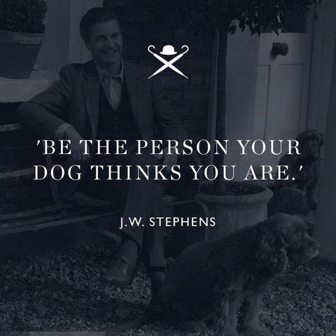 MyFitDog's tweet photo. #dogs http://t.co/tFOxObfmTW