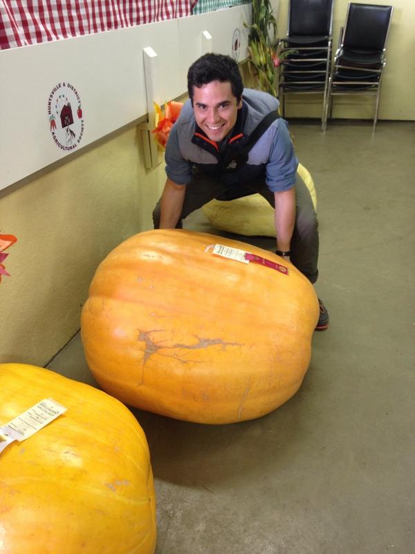moosefm1055's tweet photo. Mel: those are some big pumpkins! Travis is really trying his best to lift it. #HuntsvilleFallFair @TwnOfHuntsville http://t.co/cZ4qoiXayU