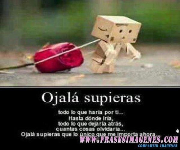 leanjo2 tweet picture