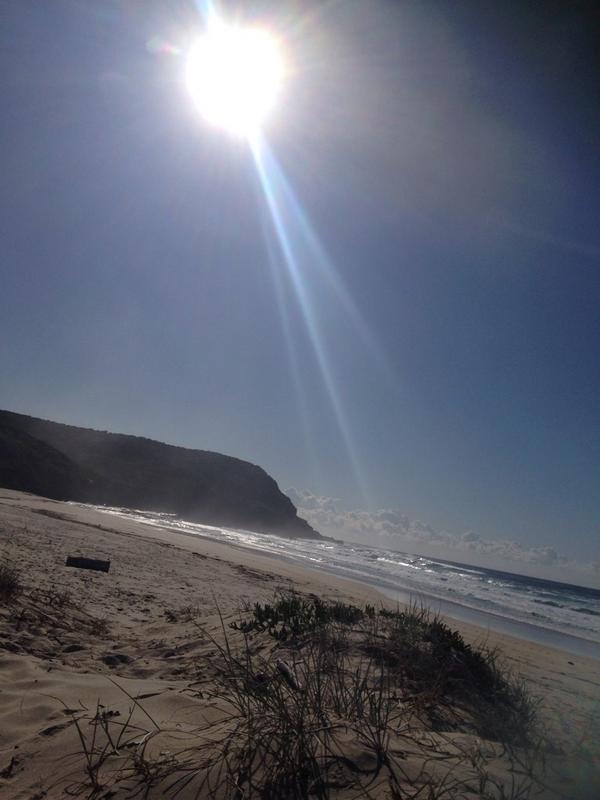 Beautiful this morning