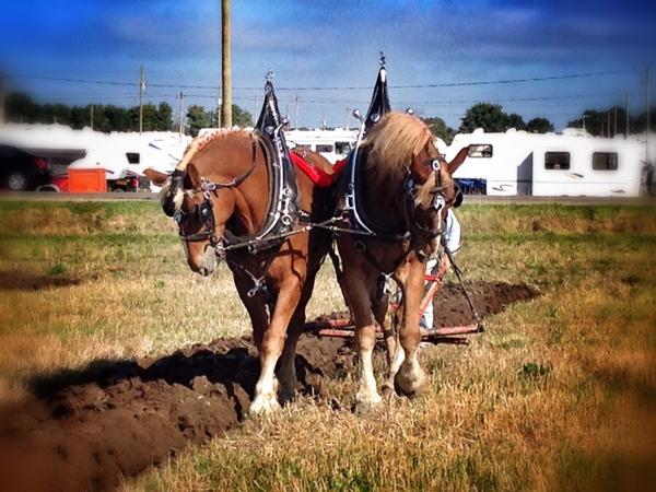 ChrissyWozniak's tweet photo. Day 4 of #IPM14 and still so much to see! @IPMandRE #ipmandre #ontag http://t.co/hm37n15LOM
