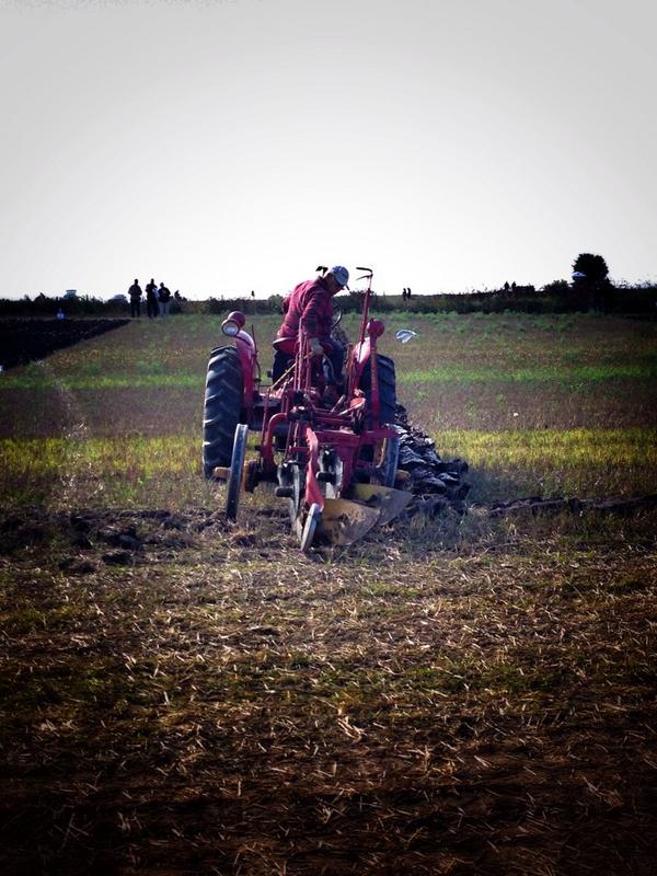 ChrissyWozniak's tweet photo. Day 4 of #IPM14 and still so much to see! @IPMandRE #ipmandre #ontag http://t.co/hm37n15LOM
