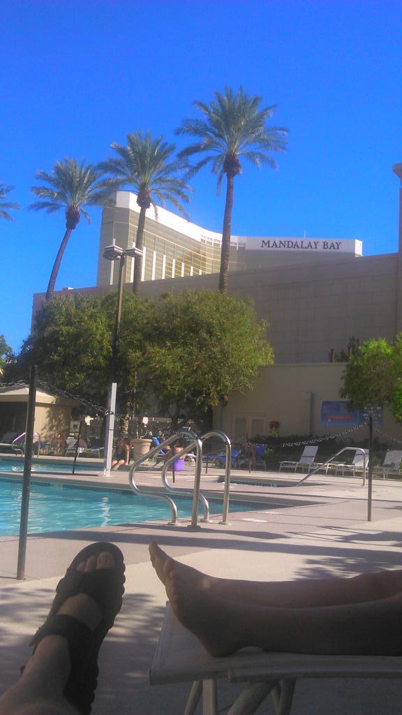 gdyos's tweet photo. #poolside #LasVegas http://t.co/QzS2F6awRq