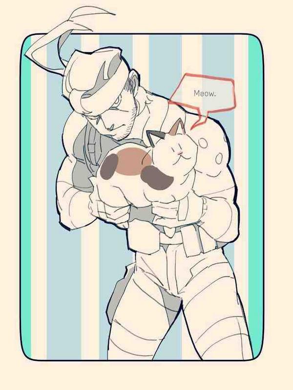 Solid Snake (@foxhoundsmasher) on Twitter photo 