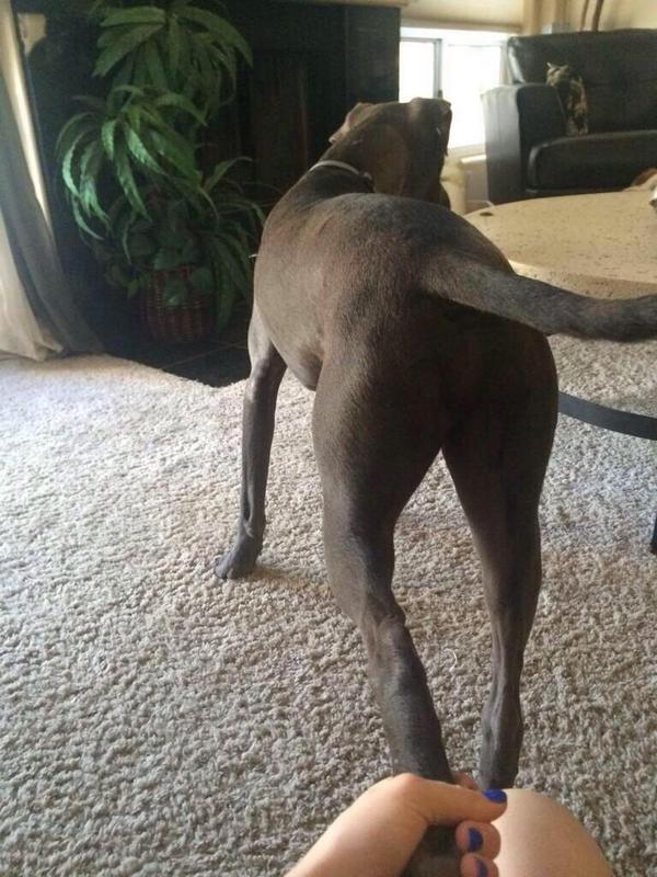 counterscale's tweet image. Close enough