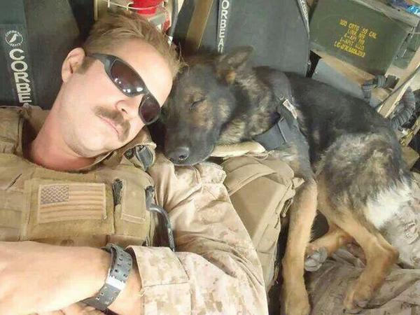 Ms10AC's tweet image. God Bless our Military.