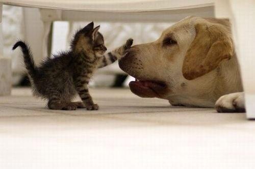 Elverojaguar's tweet photo. https://t.co/z7llpkpkWP