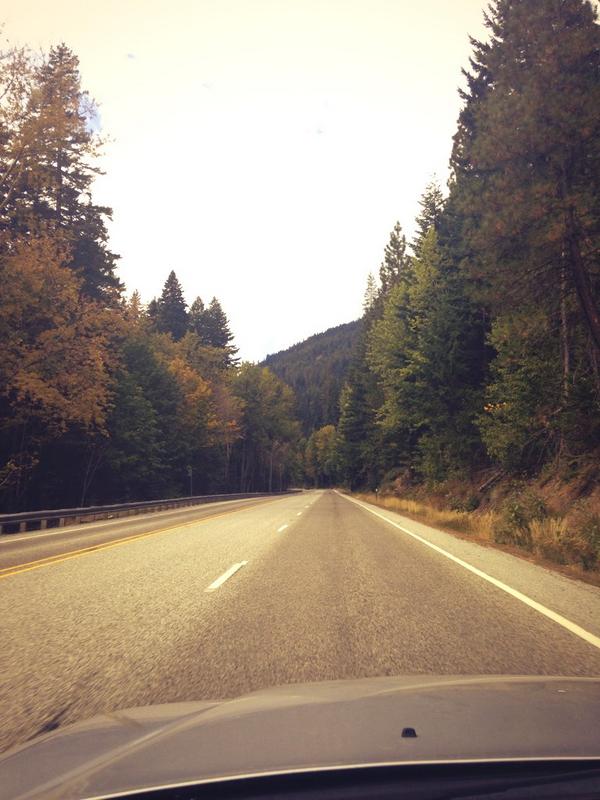 ohheyitscaity's tweet photo. Fall is happening guys and you know what that means 😁 #winterisnext ❄️❄️❄️ http://t.co/aoBgWdZV4R