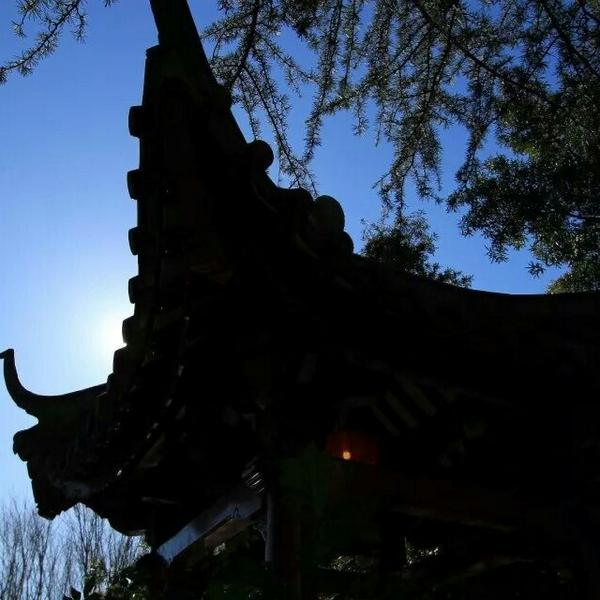 Take me back to. .. Chinese Garden of Friendship, Sydney
#travel #ttot #photography by <a href="/SandalsDownUnda/">Sandy B</a>