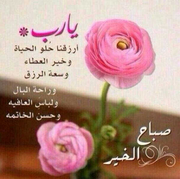 hamshnen1403 tweet picture