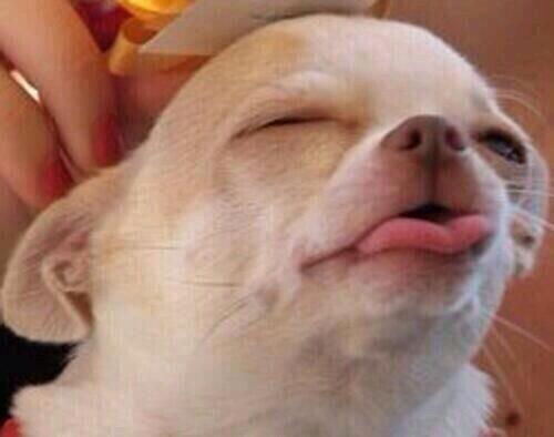 _Zaakirah's tweet image. &quot;@funnyorfact: When someone plays with my hair: http://t.co/vRQbJBfPDY&quot; @SameehaAnsari :&apos;)