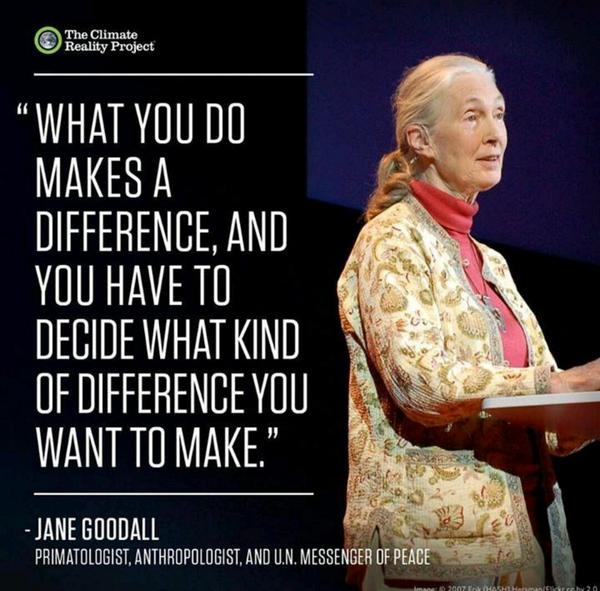 DizzyB22's tweet image. Support the #PeoplesMarch . Every action has a reaction. #Call4Climate @adoptnegotiator