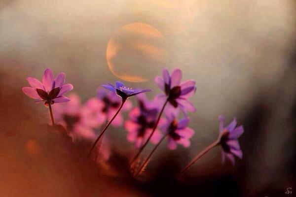 FullPeace_org's tweet photo. Noticing this moment, there is peace.
We just have to stop.
Full Stop. ✋
#FullPeace
@BuddhaBrian #IDWP http://t.co/v18amEGfTz