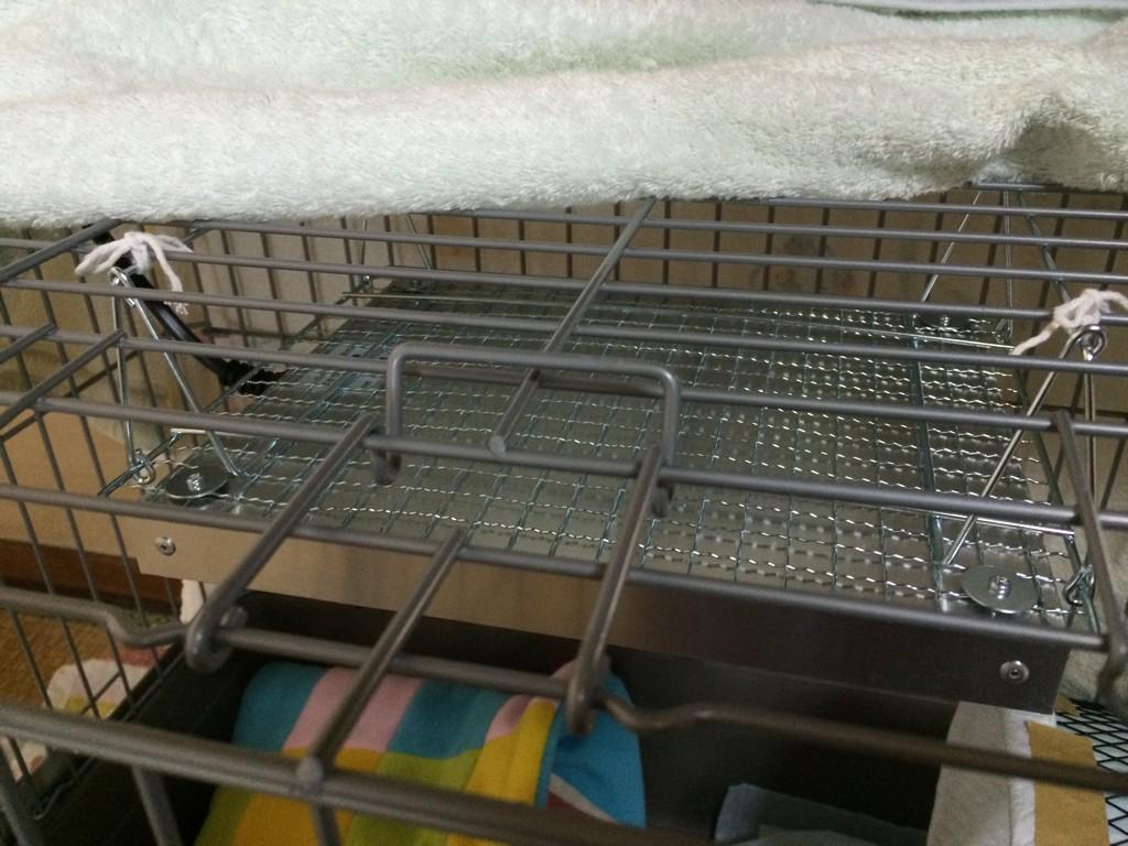 やまと Mio そういえば3日前に暖突m届いて設置した 100均で焼肉用の網買ったらジャスト ケージに高さがあるから脚を立てて低く付けた これだと上にタオルとか掛けてるから焦げる心配もない Http