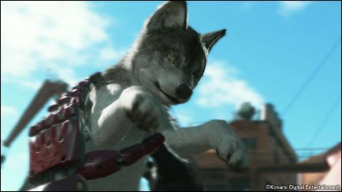 MrKojiMan's tweet image. DD The Wolf