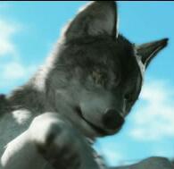 MrKojiMan's tweet image. #DDtheWolf TT Now