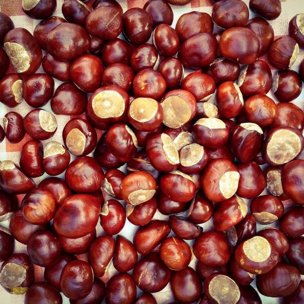 Wat gaan jullie dit weekend doen? Na alle clubjes en de lijst met klussen,  hopelijk nog een middag in het bos!