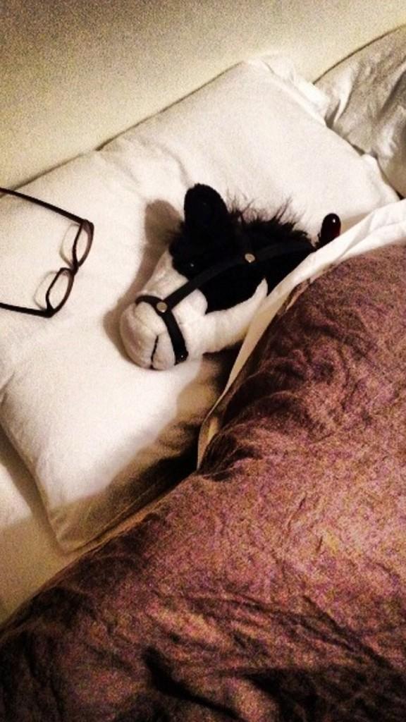 ElansPony's tweet photo. @theyearofelan goodnight Dad!Its been another good day in the life of your little pony, until tomorrow I love you! :) http://t.co/aeHDyA9ScX