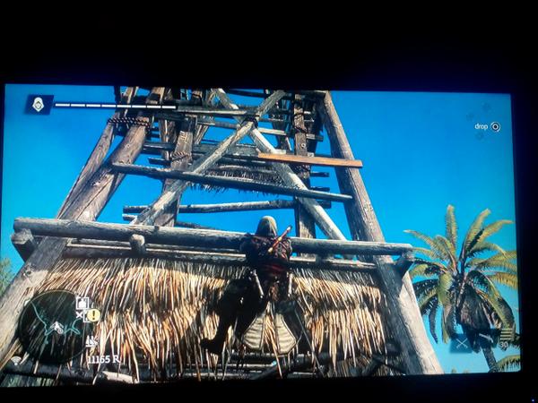 afreefuture's tweet image. #blackflag