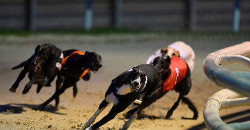 49+ Sporting Life Racecards Today Pics