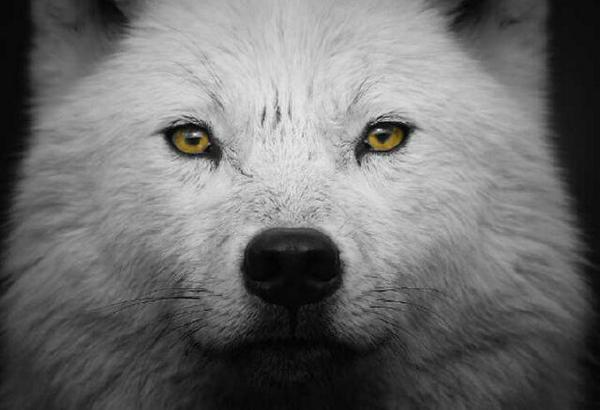 alexvrDBL's tweet photo. http://t.co/CyUsBSqJnx