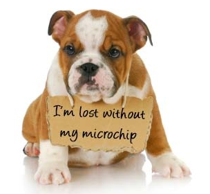 Minster_Vets's tweet photo. Get your pet microchipped this September for only £12.50 at @Minster_Vets http://t.co/wBm9VaODaq