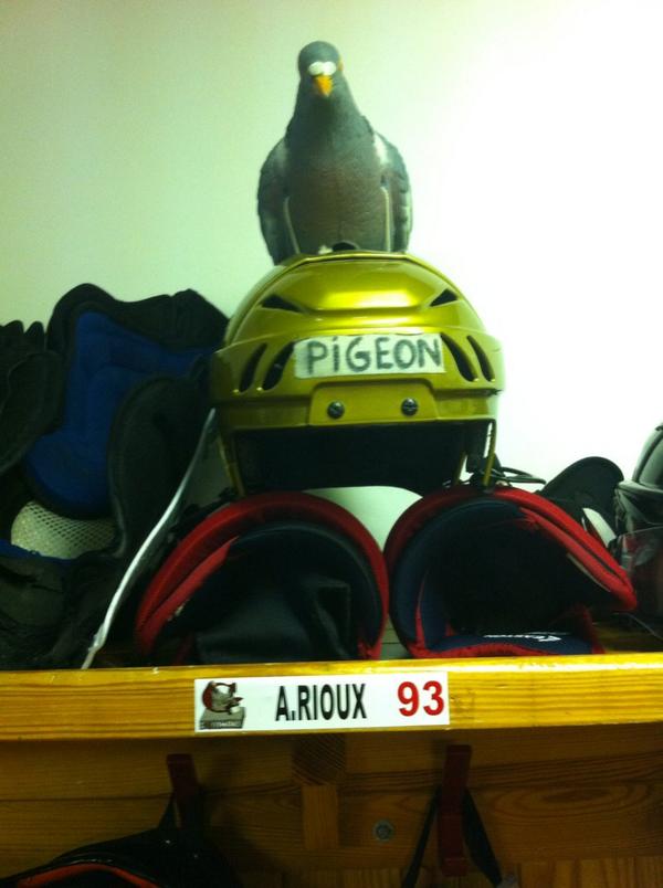 Axe93000's tweet photo. Guess who didn't score today? #2pucks http://t.co/0HpzS9S3oJ