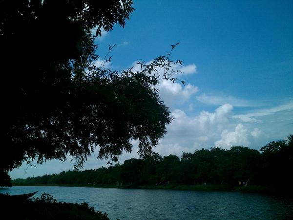 amiaviandi tweet picture