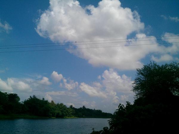 amiaviandi tweet picture