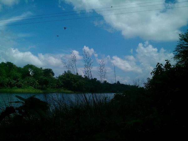 amiaviandi tweet picture
