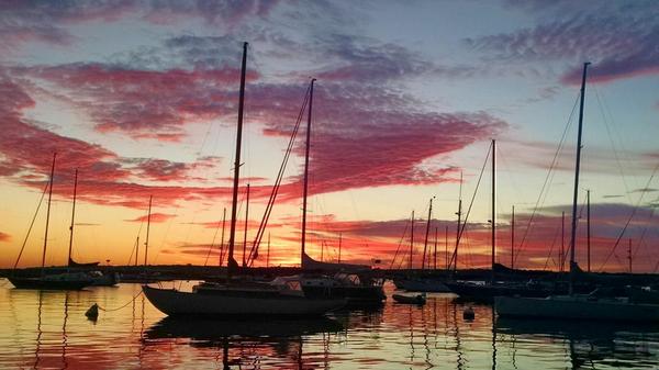Good morning #marthasvineyard
stevemyrickphotography.com