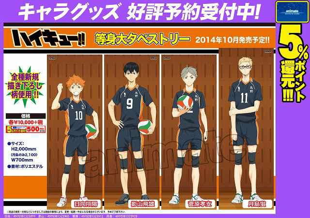 ハイキュー 菅原 菅原孝支 タペストリー 等身大 等身大タペストリー