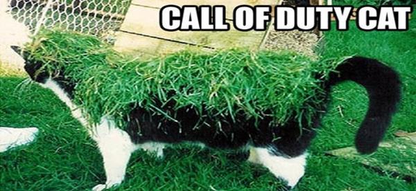 PureGaming_ES's tweet photo. ¡Hoy es #Cybermeownday! Traemos un gatete disfrazado de campero. Estará jugando al Call of Duty xDD  #humor #gato http://t.co/i5b0fGzSIV