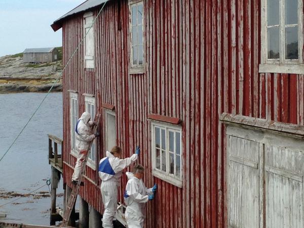 Høstdugnad, da er sommeren slutt!!! Gjæslingans venner er gode venner! her er før og etter linoljemaling