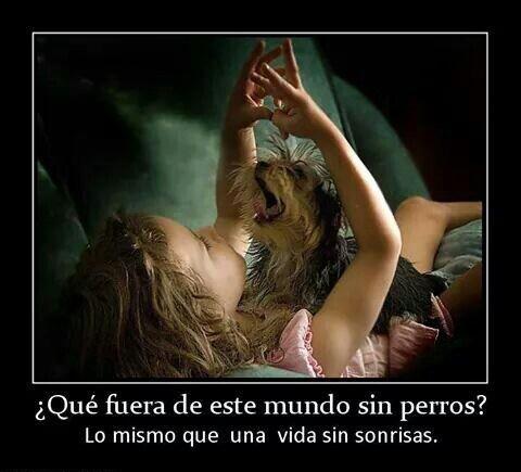 DankroftK9's tweet photo. Frase de hoy. http://t.co/9WkVBo8HFf