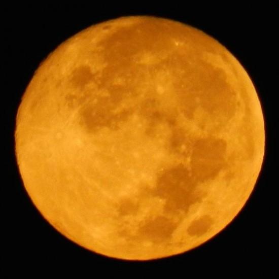 SucoTechUS's tweet image. Happy #Monday! Tonight&apos;s full moon.